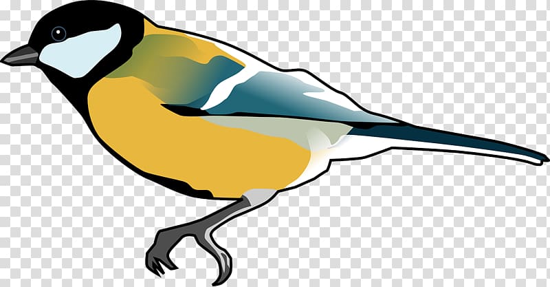 European goldfinch Bird , Hand-painted wood thrush transparent background PNG clipart