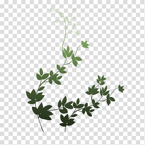 Portable Network Graphics Leaf Plant stem Adobe shop, buckethead real identity transparent background PNG clipart