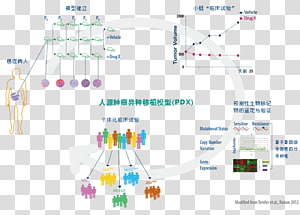 Line Point Angle, line transparent background PNG clipart thumbnail