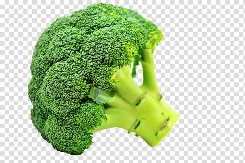 Broccoli Flavor Taste Vegetable Sulforaphane, broccoli transparent background PNG clipart