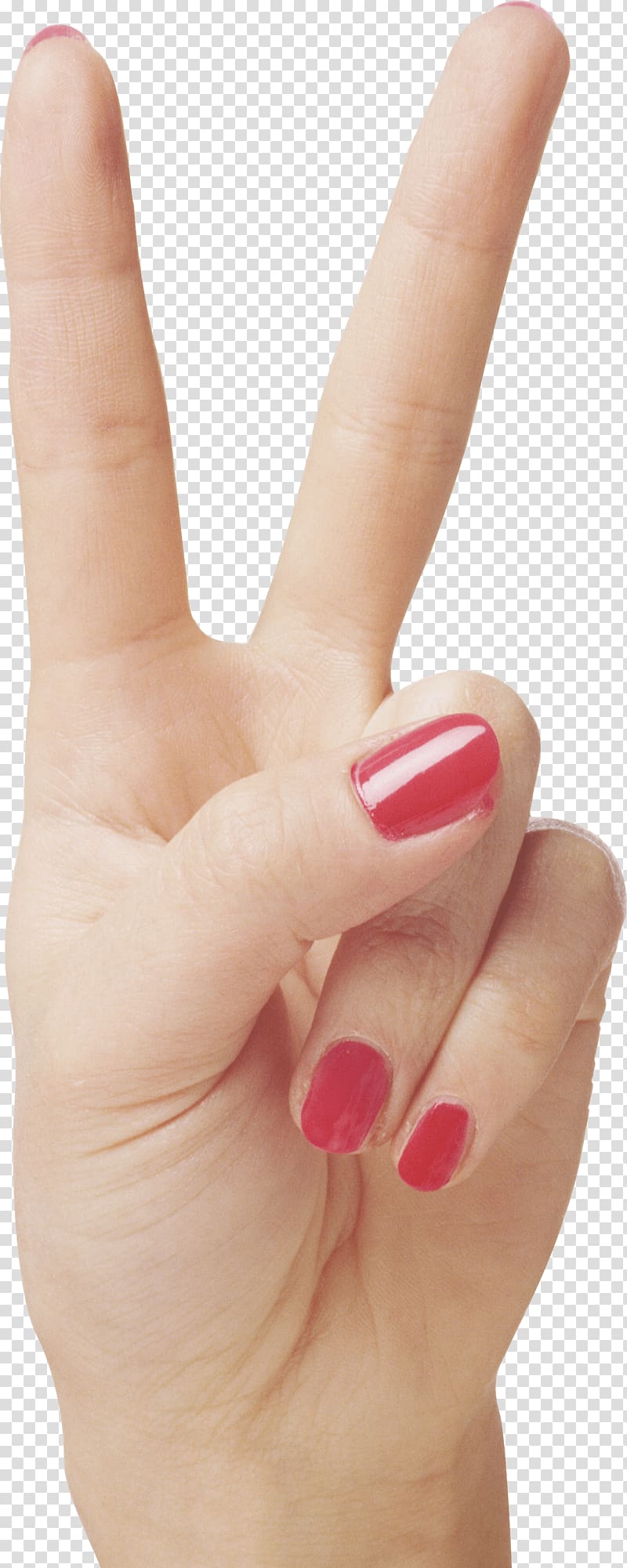 Hand Upper limb Finger, hand transparent background PNG clipart