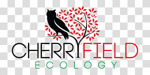 Logo Beak Graphic design Brand, design transparent background PNG clipart thumbnail