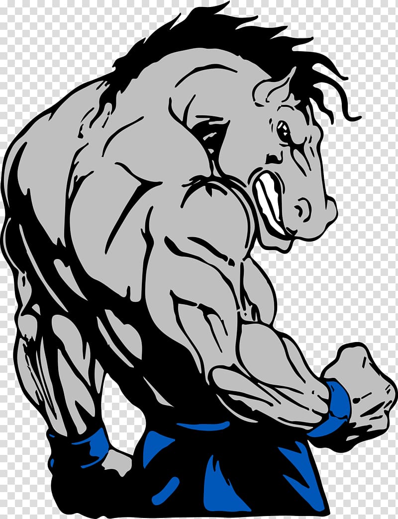 Horse ky open bodybuilding Weight training Physical exercise, bodybuilding transparent background PNG clipart