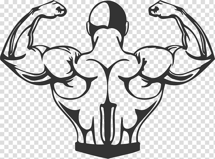 Bodybuilding Muscle Exercise Cartoon, bodybuilding transparent background PNG clipart