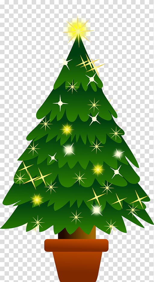 Christmas tree Abies firma, Christmas Event transparent background PNG clipart