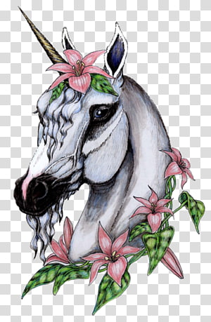 Coloring book Winged unicorn Adult Horse, unicorn transparent background PNG clipart thumbnail