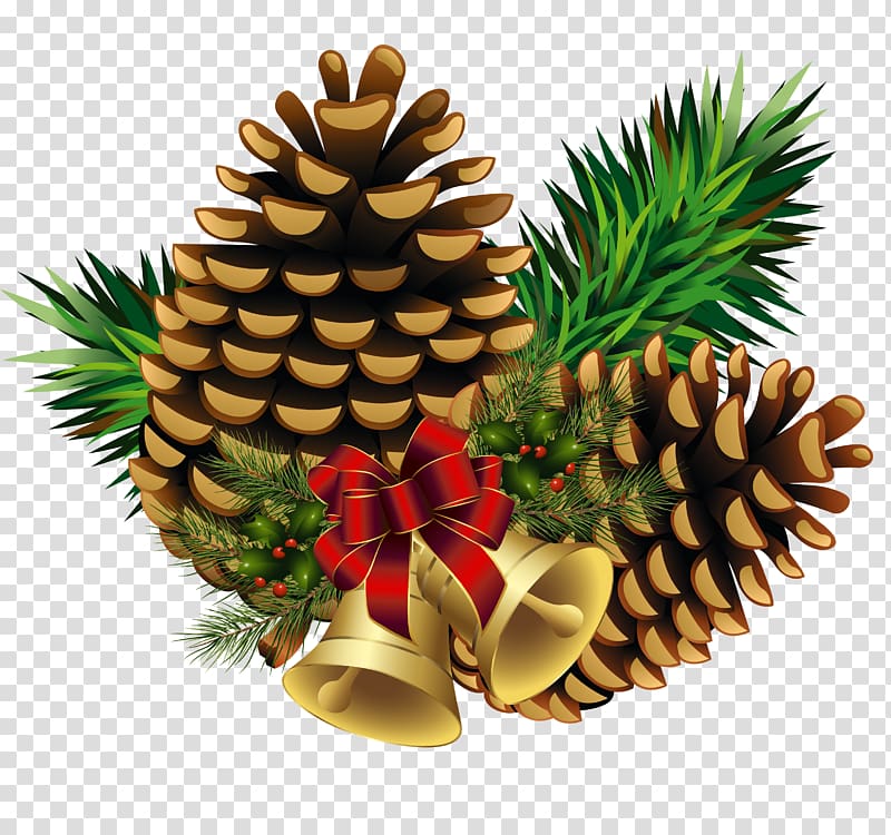 Eastern white pine Conifer cone Conifers, tree transparent background PNG clipart