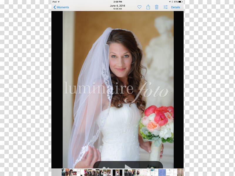 Wedding dress Bride Veil, bride transparent background PNG clipart