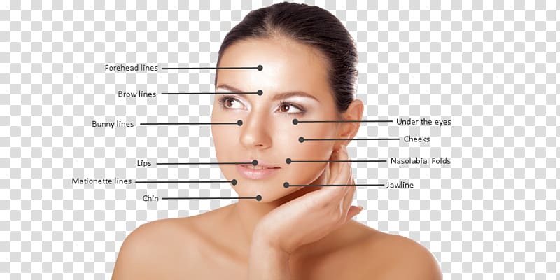 Injectable filler Eyebrow Cheek Courtenay Cosmetic Clinic Face, Cosmetic Treatment transparent background PNG clipart