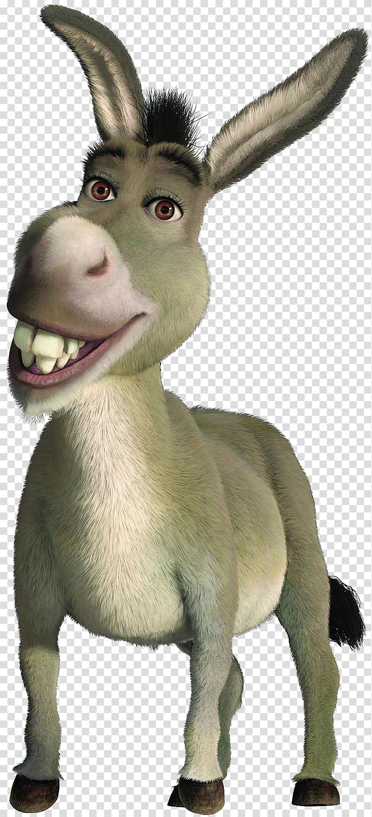 Shrek Donkey png