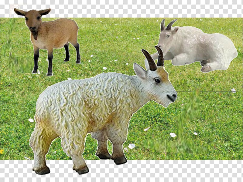 Mountain goat Sheep Cattle Pasture, goat transparent background PNG clipart