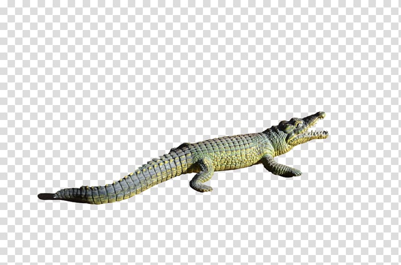 Alligator Crocodile clip, crocodile transparent background PNG clipart