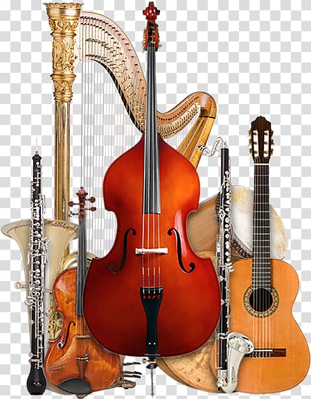Bass violin Violone Double bass Viola Bass guitar, deliver the take out transparent background PNG clipart