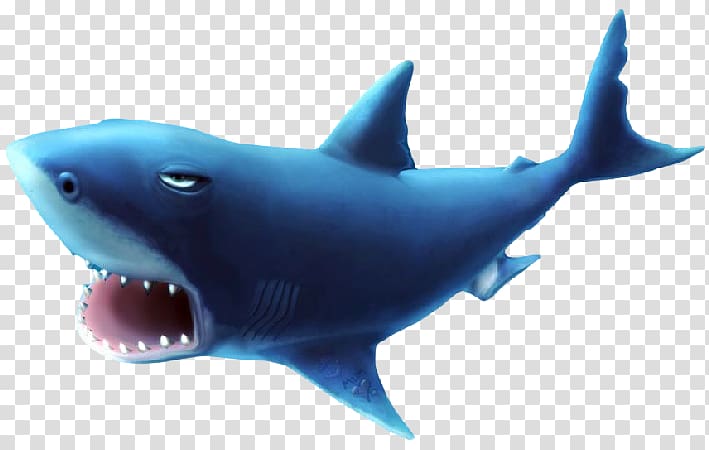 Great white shark Requiem sharks Lamnidae Blog, tiburon transparent background PNG clipart