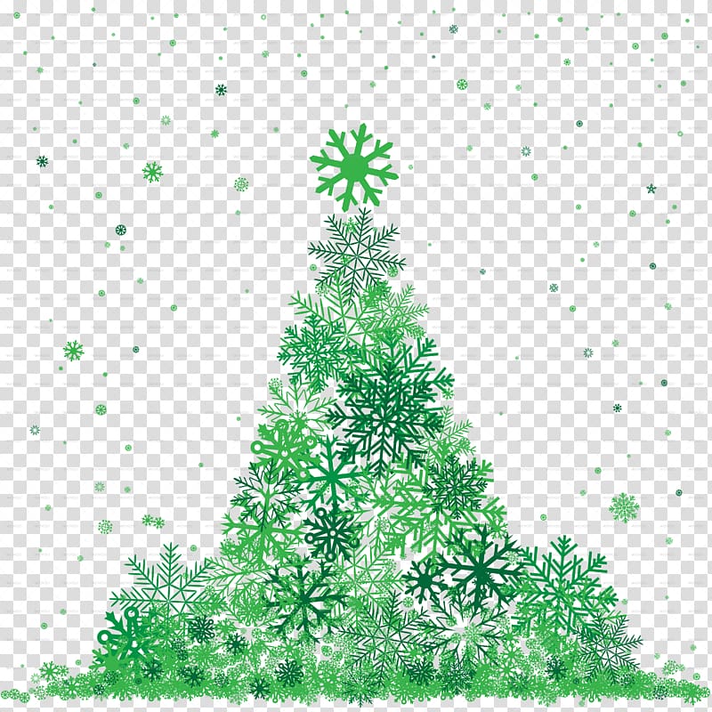 Fir Spruce Pine Tree Conifers, fir-tree transparent background PNG clipart