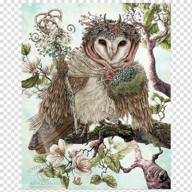 Barn owl Bird Artist, owl transparent background PNG clipart