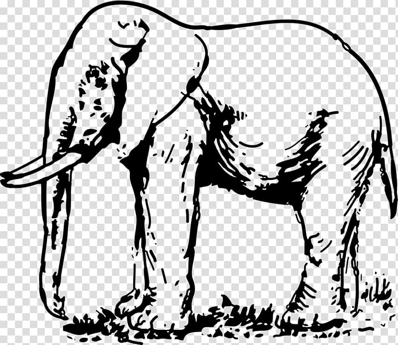 Asian elephant Drawing Black and white , thai elephant transparent background PNG clipart