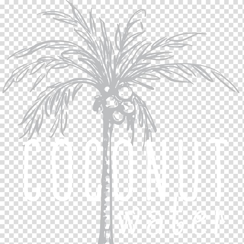 Asian palmyra palm Date palm Twig Leaf Plant stem, date palm transparent background PNG clipart