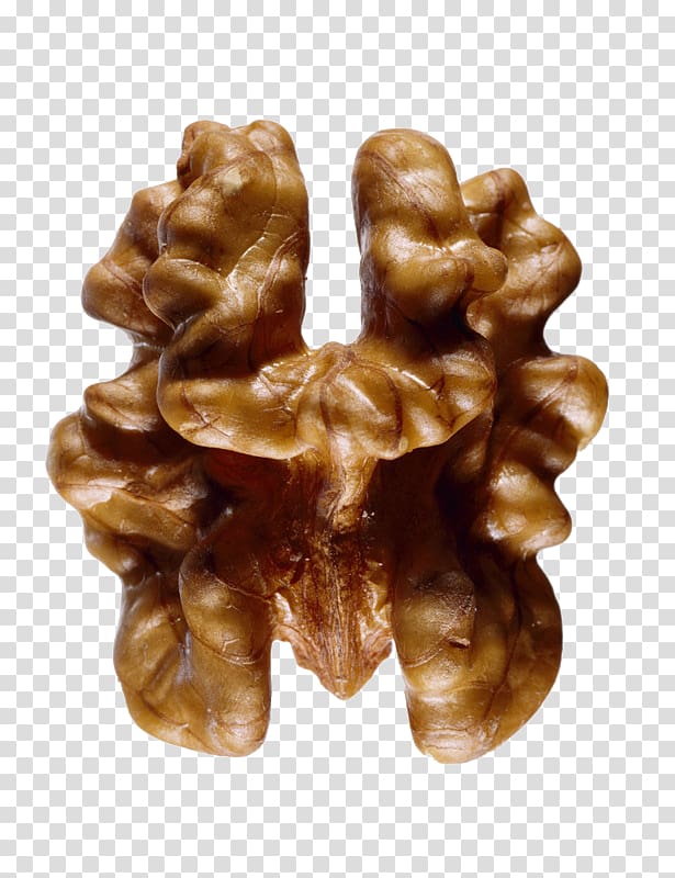 English walnut Mixed nuts, Walnut transparent background PNG clipart