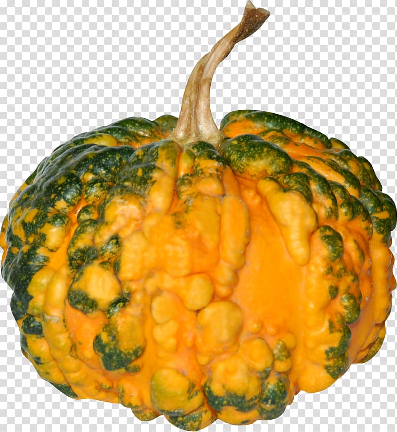 Vegetable Cucurbita Pumpkin Food Squash, vegetable transparent background PNG clipart