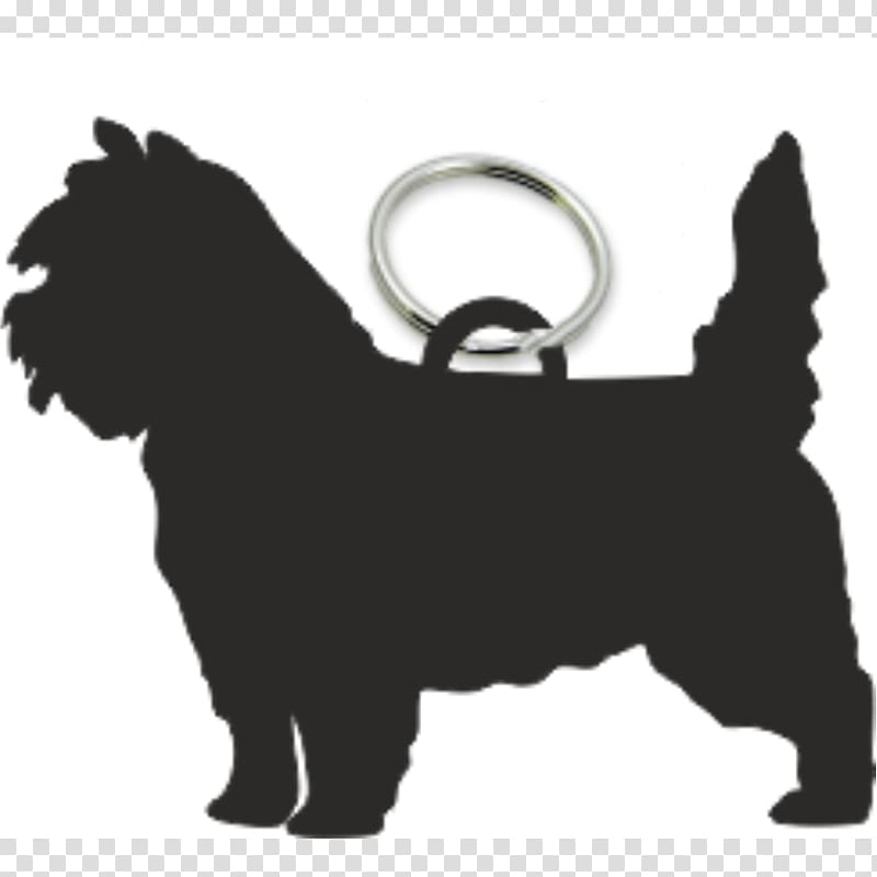 Dog breed Cairn Terrier Puppy Fob, puppy transparent background PNG clipart