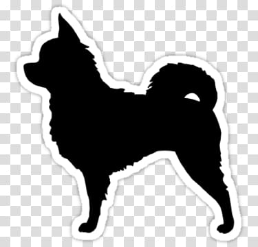 Long-haired Chihuahua Pomeranian Scottish Terrier Papillon dog, puppy transparent background PNG clipart