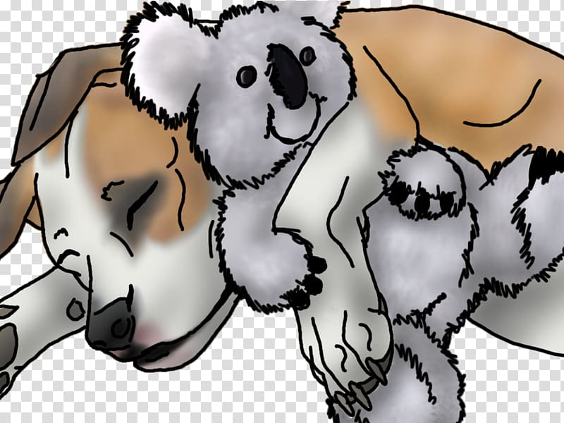 Teddy bear Koala Canidae Dog, koala transparent background PNG clipart