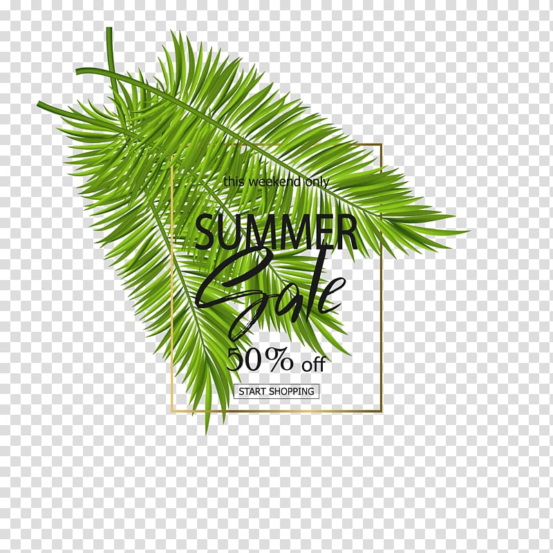 Arecaceae Leaf Poster, Green Coconut Leaves Leaves Free transparent background PNG clipart