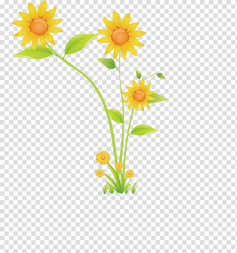 Trousers Pattern, creative sunflower transparent background PNG clipart
