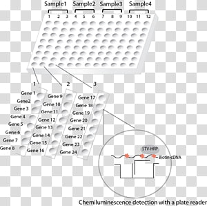 Brand Line Point Angle, line transparent background PNG clipart thumbnail