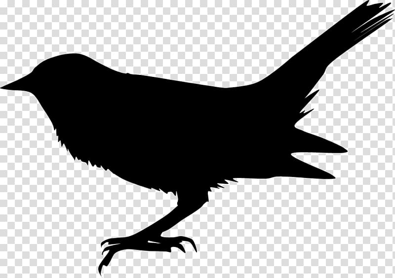 Silhouette Blackbird The Beatles Song, Silhouette transparent background PNG clipart