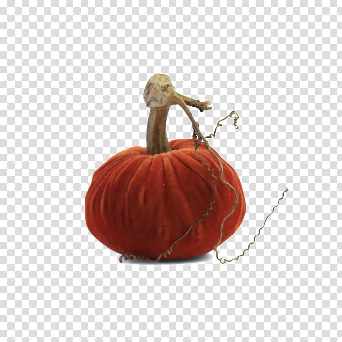 Calabaza Pumpkin Cucurbita Winter squash Gourd, acorn squash transparent background PNG clipart