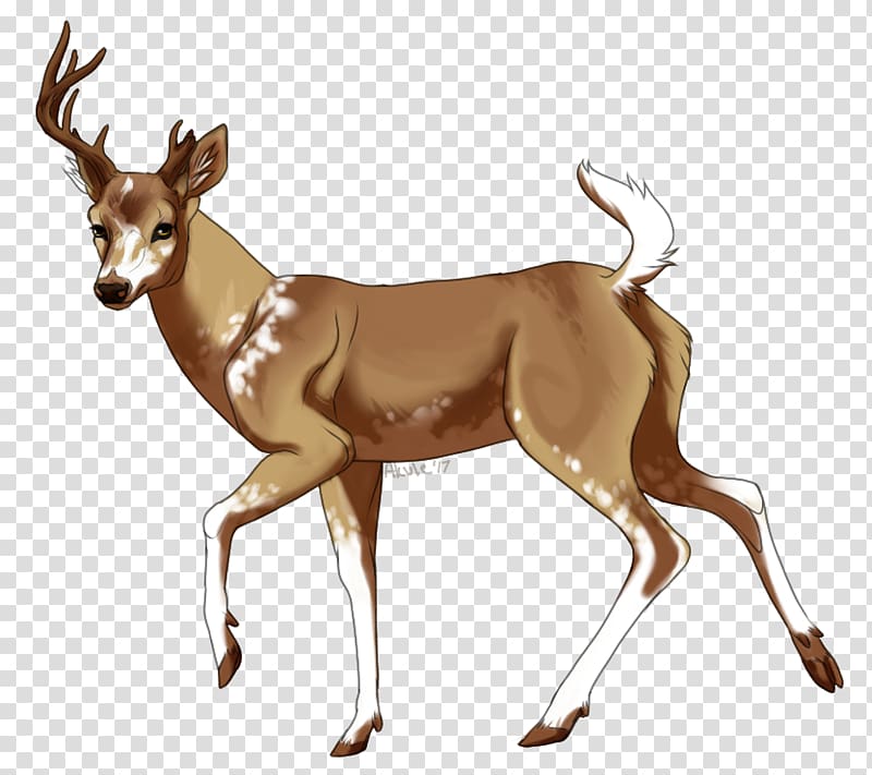 Thomson's gazelle Springbok Antelope , Young bucks transparent background PNG clipart