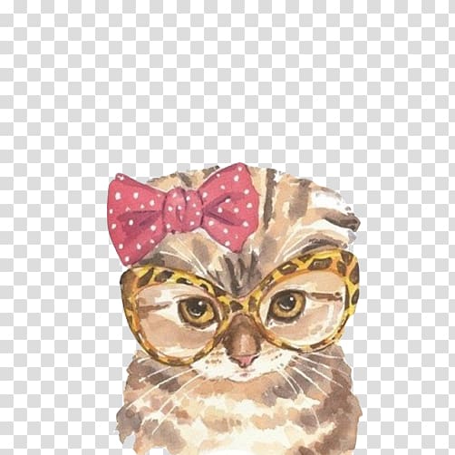 cat with red bowtie , Scottish Fold Persian cat Kitten Watercolor painting Illustration, Owl watercolor material transparent background PNG clipart