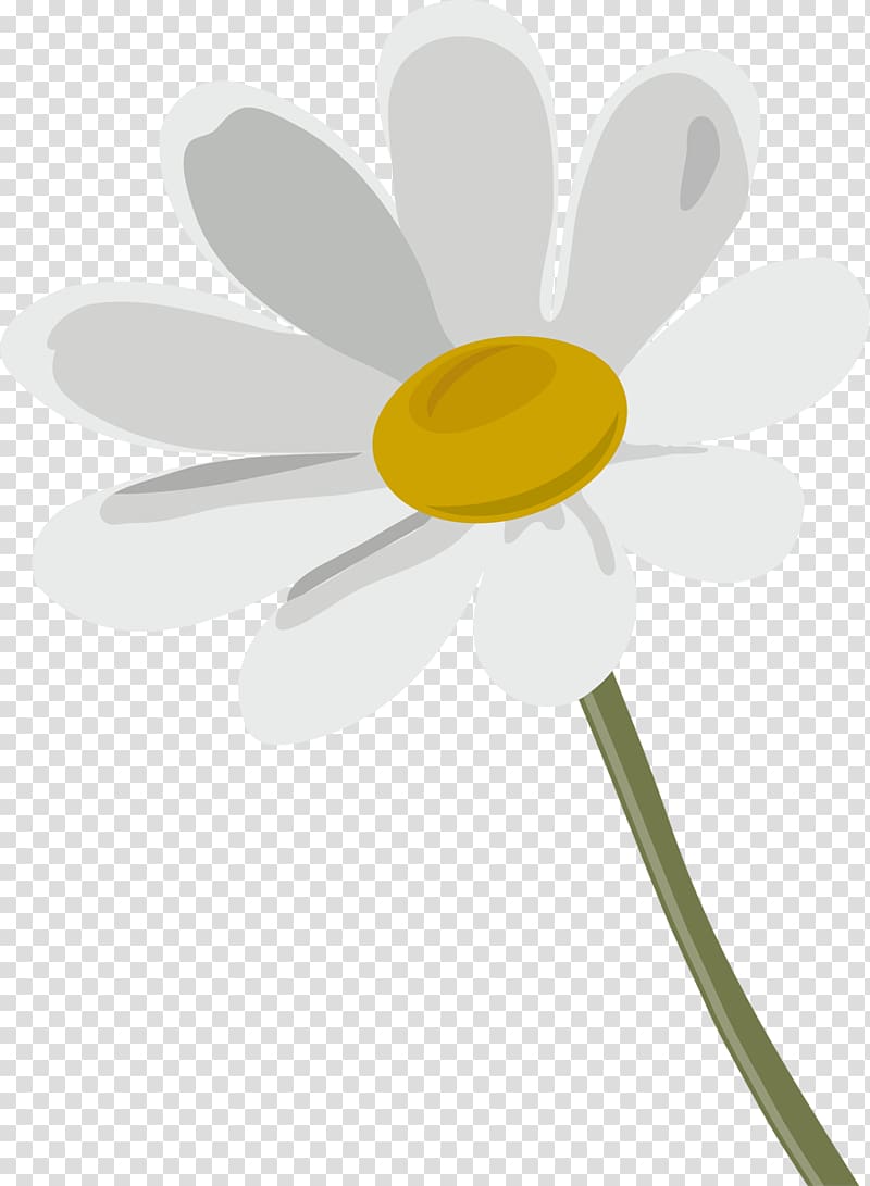 Oxeye daisy German chamomile Flower , camomile transparent background PNG clipart