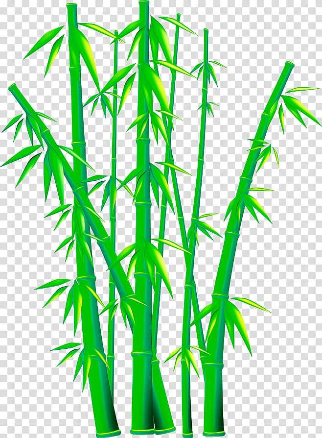 green bamboo grass illustration, Bamboo Euclidean , bamboo transparent background PNG clipart