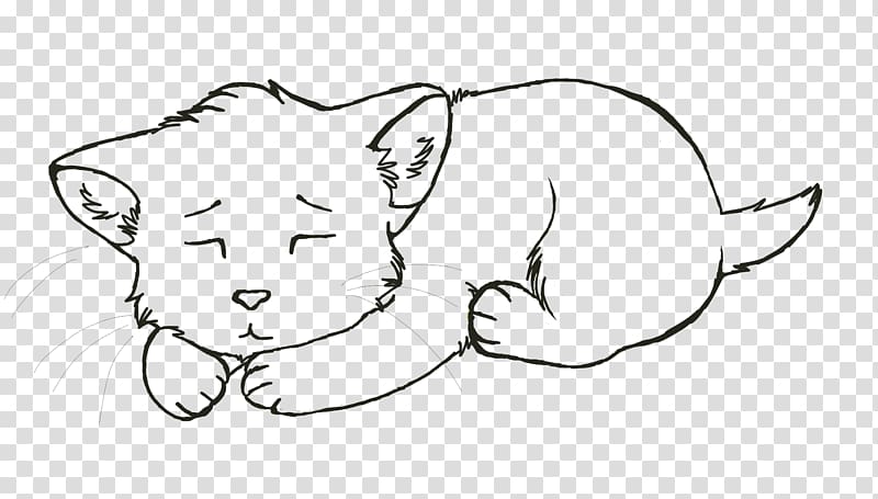 Whiskers Cat Line art Snout Sketch, Cat transparent background PNG clipart