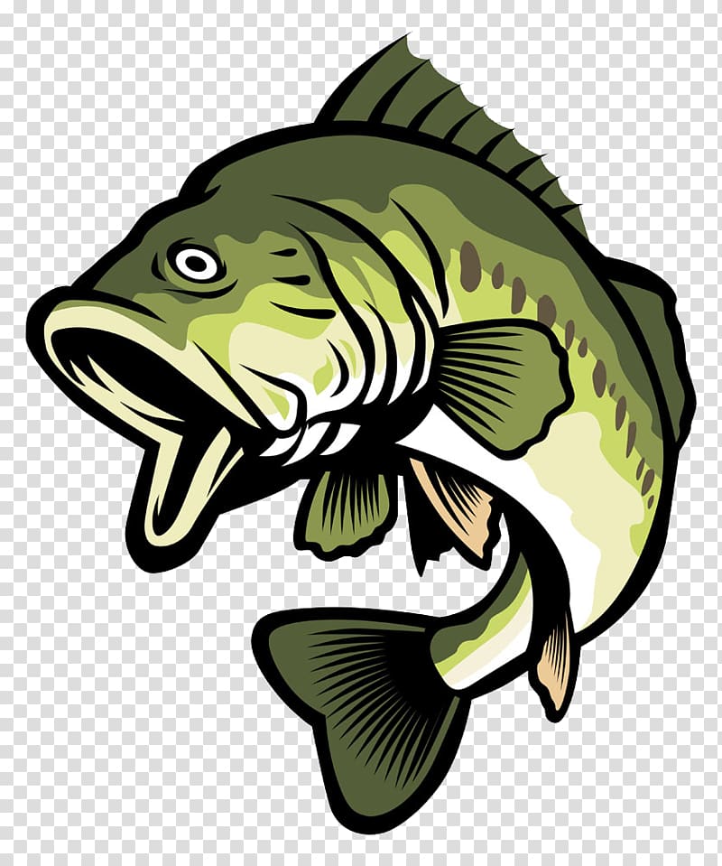 Big-mouth bass fish illustration, Bass illustration , Green
