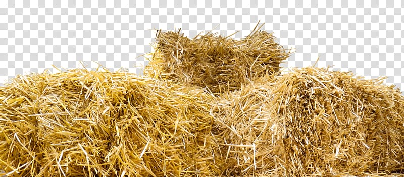 brown hay lot, Top Of Straw Bales transparent background PNG clipart