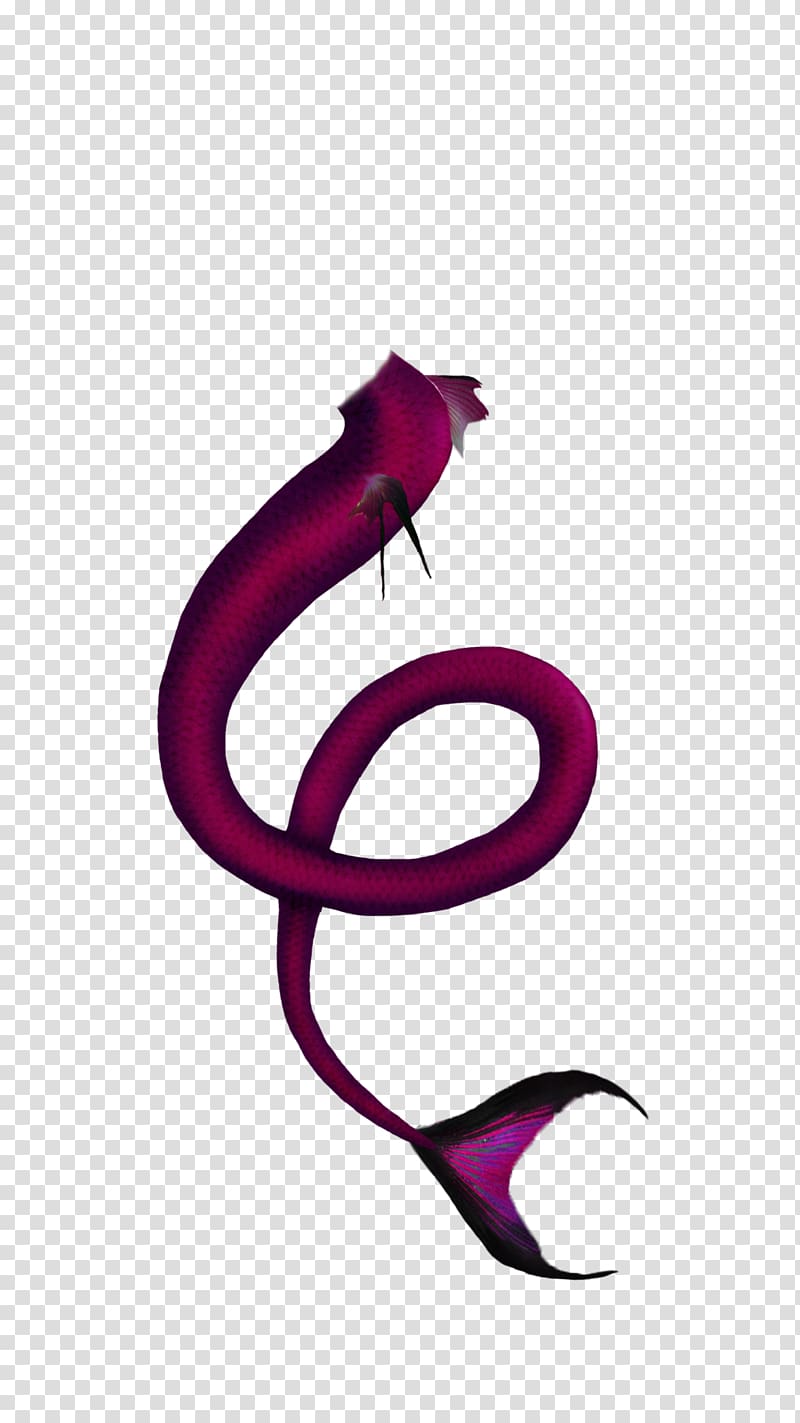 Tail Mermaid Violet Green Magenta, mermaid tail transparent background PNG clipart