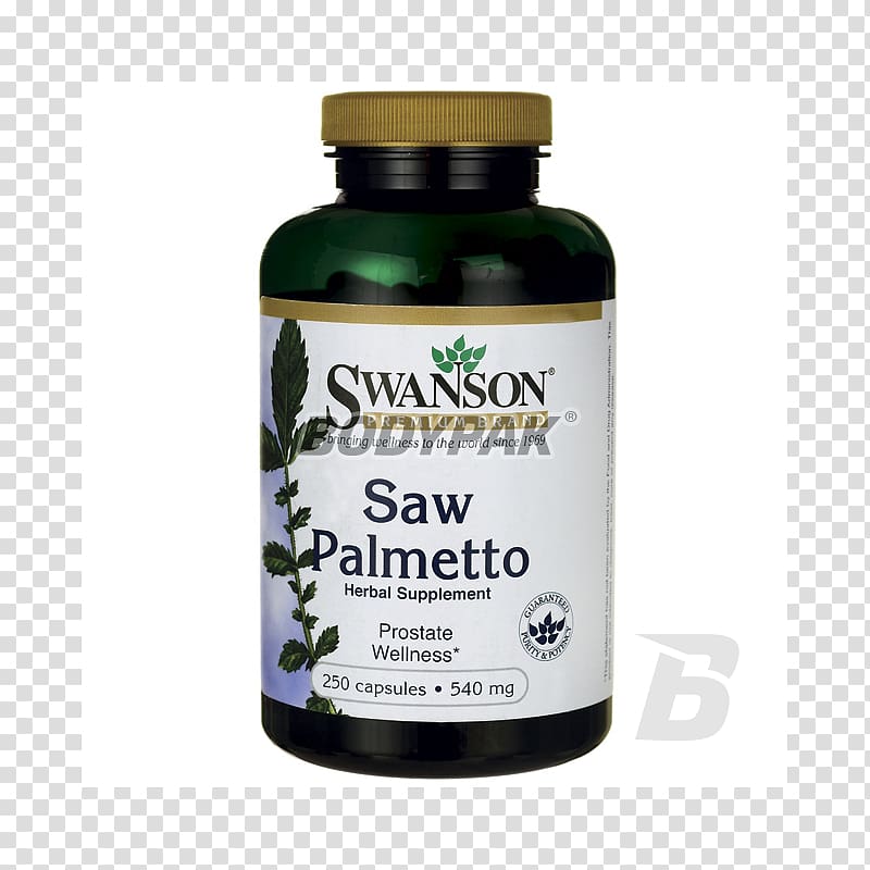 Dietary supplement Saw palmetto extract Swanson Health Products Capsule, health transparent background PNG clipart