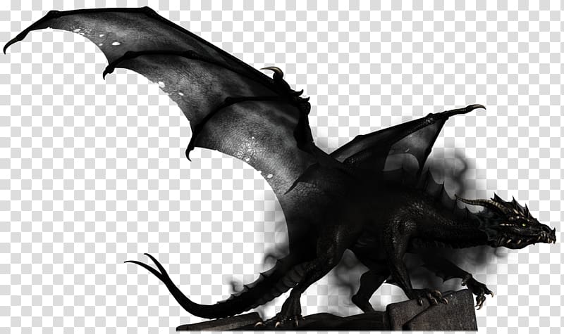 Dragon City Shadow dragon Dungeons & Dragons, Dragon 11 transparent background PNG clipart