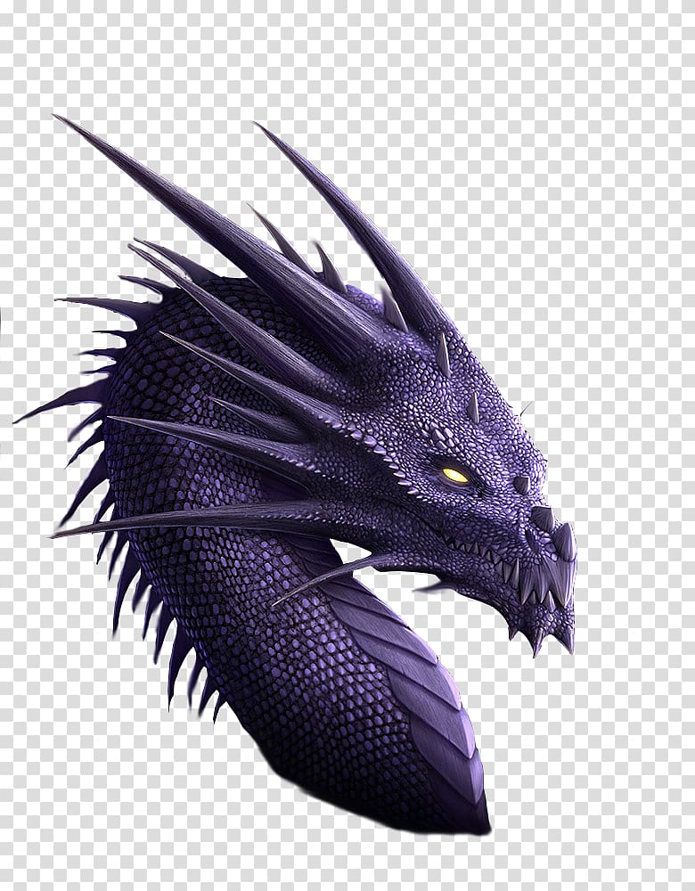 purple dragon portrait art, Dragon Purple Legendary creature Fantasy, Pic Dragon transparent background PNG clipart