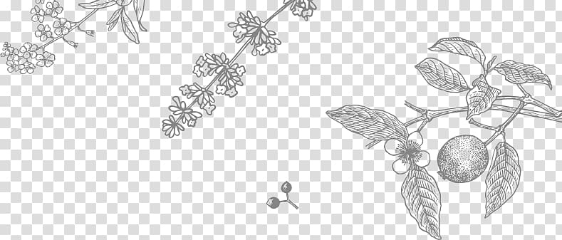 Line art Coloring book Sketch, flower title bar transparent background PNG clipart