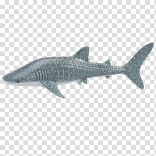 Whale shark Safari Ltd Sea Life Centres Hammerhead shark, shark transparent background PNG clipart