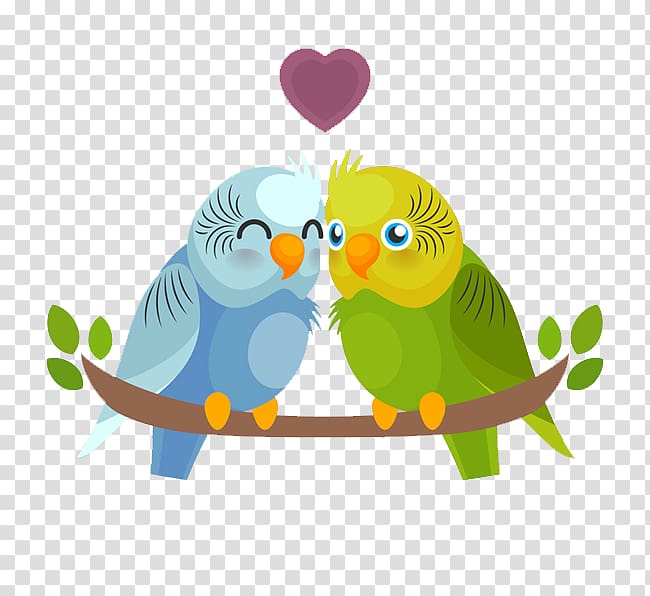Bird Budgerigar Parrot, Colored parrot lovers transparent background PNG clipart