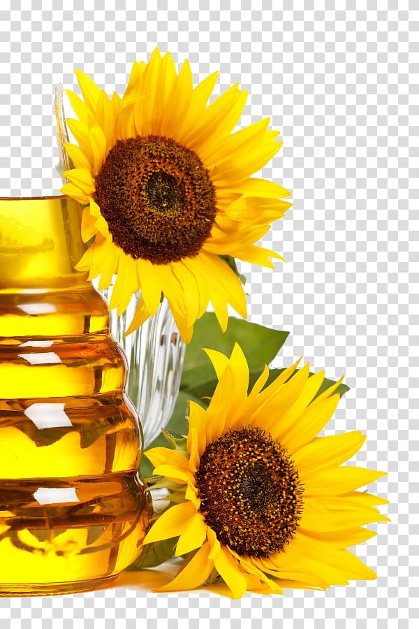 Sunflower seed Cooking oil Food Sunflower oil, Sunflower Sunflower transparent background PNG clipart