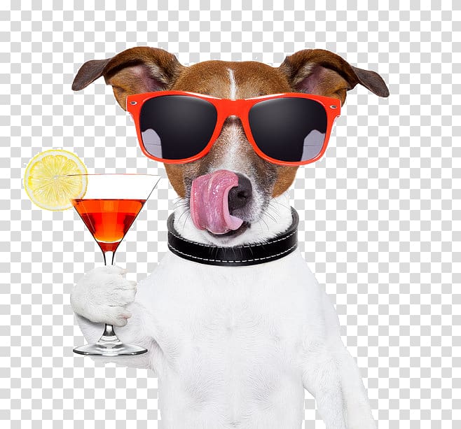 white and brown Jack Russell terrier holding martini glass illustration, Sun drink red wine dog transparent background PNG clipart