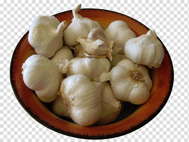 Garlic Vegetable Salsa Food Tourin, health benefits of garlic transparent background PNG clipart