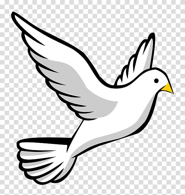 Doves as symbols Columbidae , the dove of peace transparent background PNG clipart